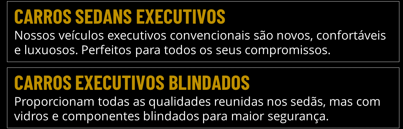 Wrio Transporte Executivo Rio de Janeiro - Carros Blindados Rio de Janeiro - São Paulo (2).PNG